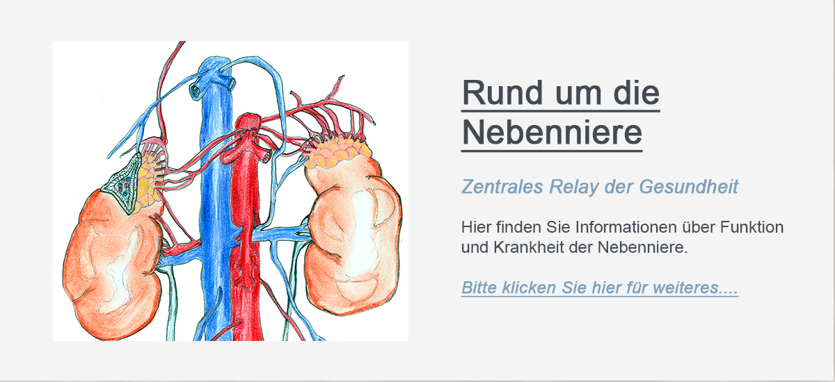 Dieser Button führt Sie weiter zur Seite "Rund um die Nebenniere"