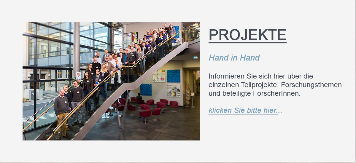 Hier werden Sie zu den Projekten weitergeleitet.