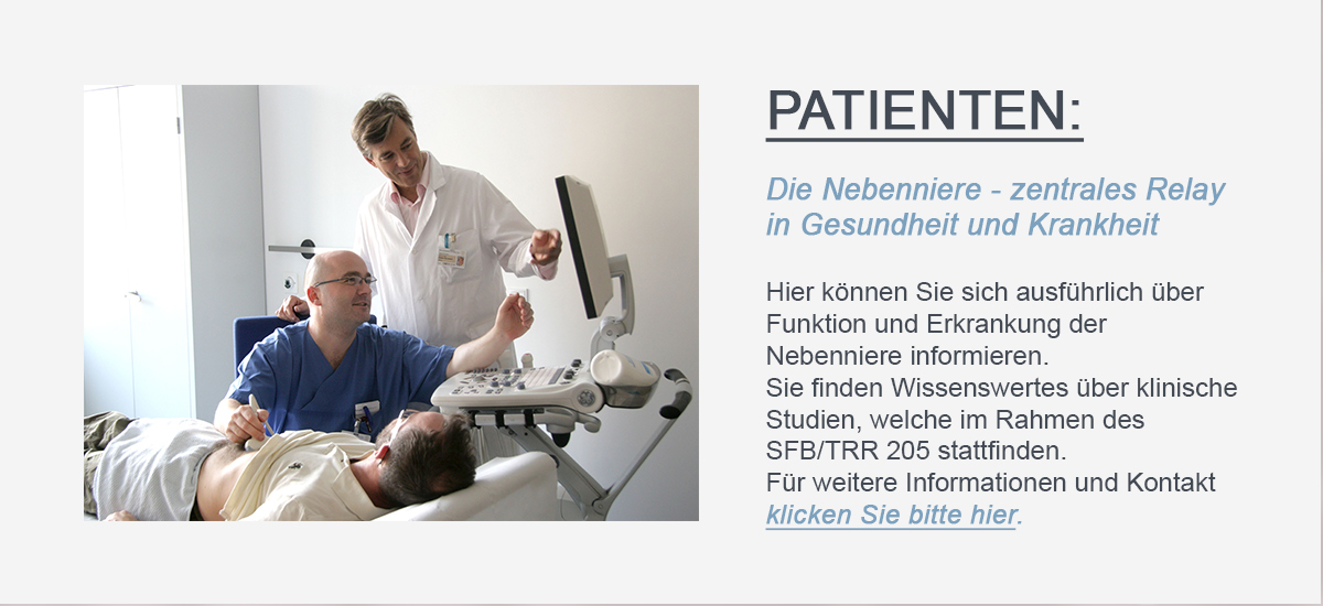 Hier sollte der Linkbutton zur Patienten-Site des SFB/TRR 205 zu sehen sein.