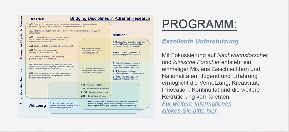 Hier sollte der Linkbutton, welcher zur PROGRAMseite des SFB/TRR 205 führt, zu sehen sein.