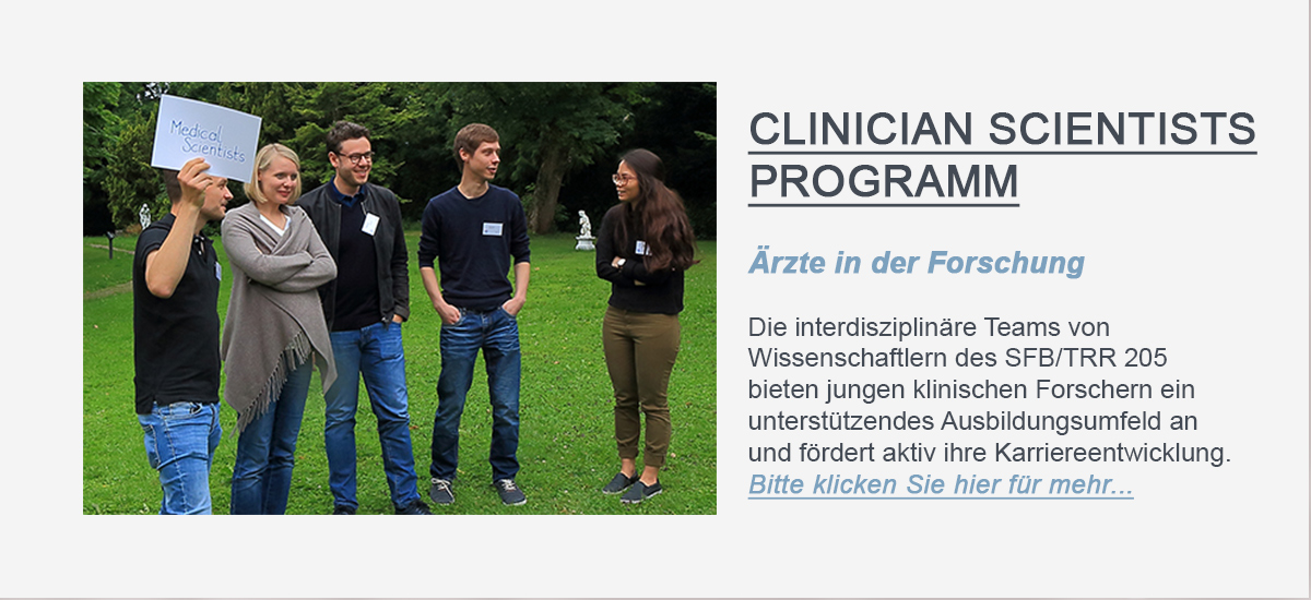 Hier sollte der Linkbutton, welcher zur PROGRAMseite für das Clinician Scientists Programm des SFB/TRR 205 führt, zu sehen sein.