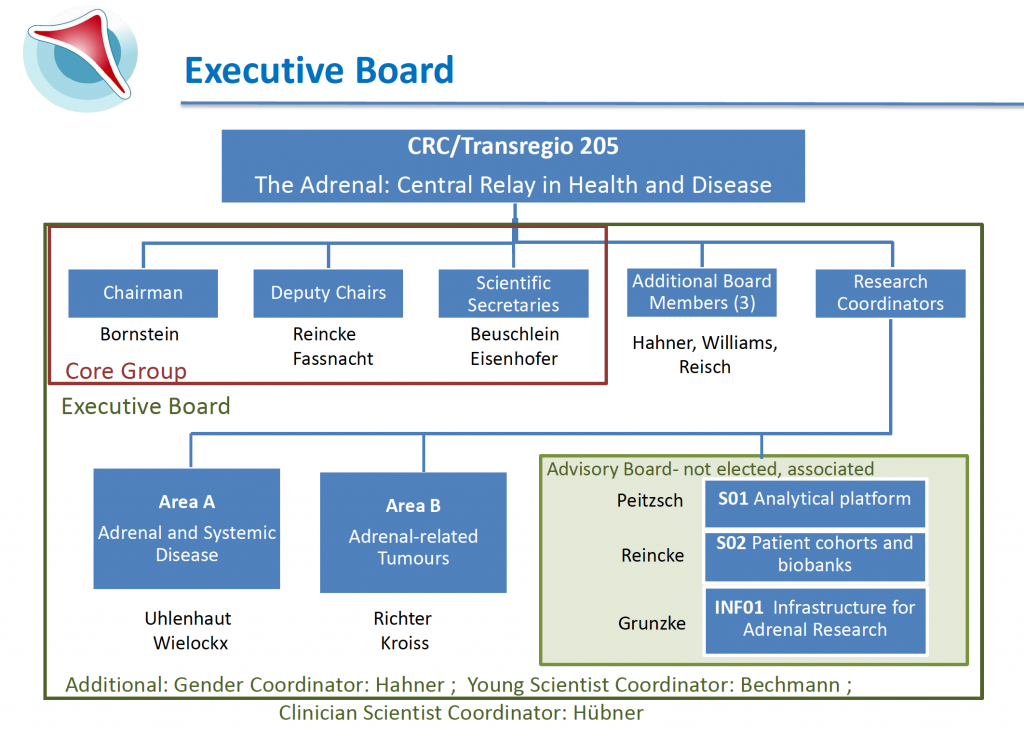 Executive Board, CRC/TRR 205, The Adrenal: Central Relay in Health and Disease